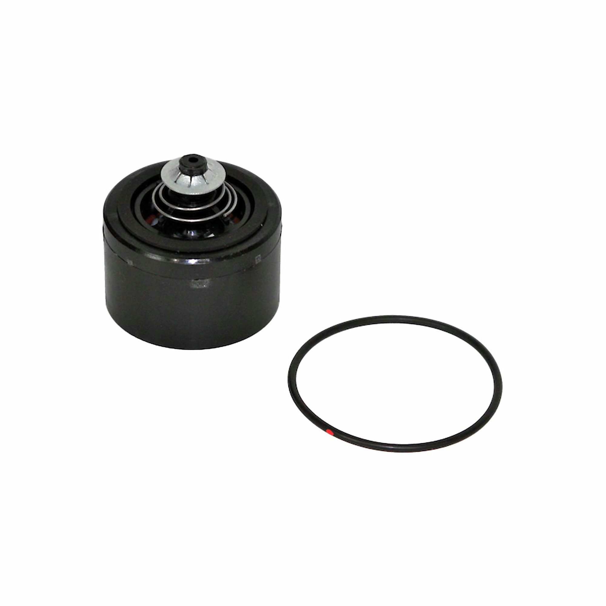 Fill-Rite Check Valve Kit for 700 Series Pumps, Model# KIT700CV